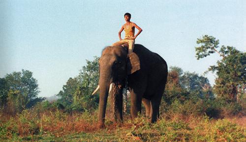 Aane Mane Foundation